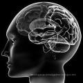 Tratamento da síndrome de Meniere Betahistine Dihydrochloride